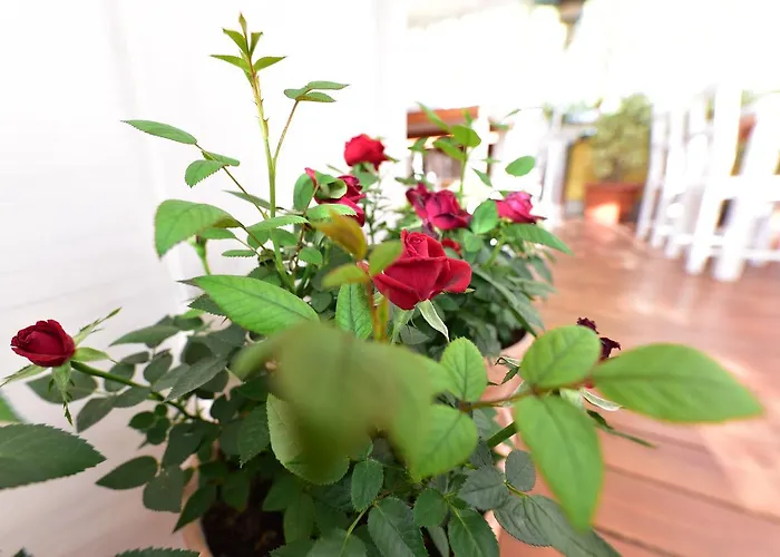 Quodlibet Frühstückspension 4*