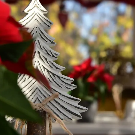 クオドリベット 4*