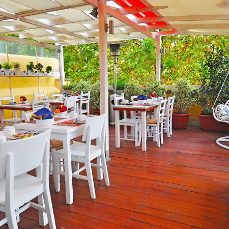 クオドリベット 4*