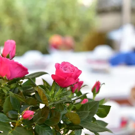 Bed & Breakfast Quodlibet Rome