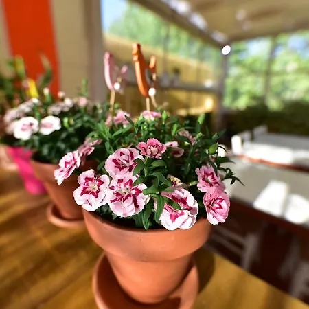 Bed & Breakfast Quodlibet Rome