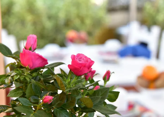 Bed & Breakfast Quodlibet Rome