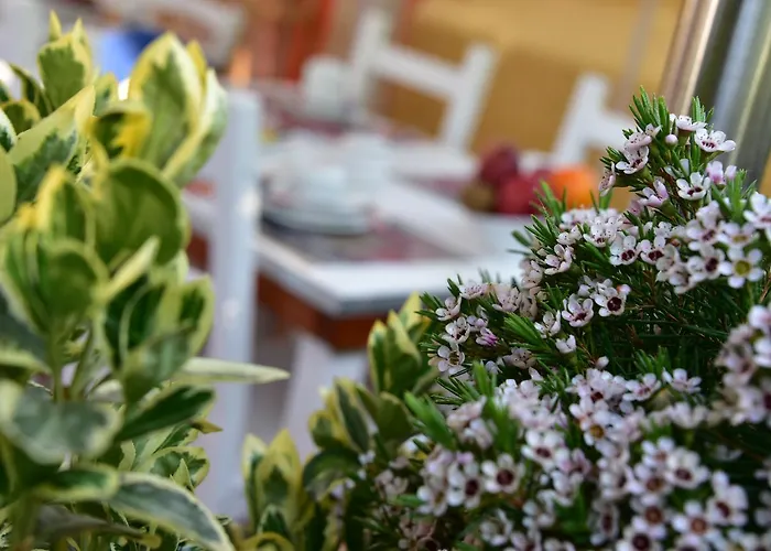 Bed & Breakfast Quodlibet 4*