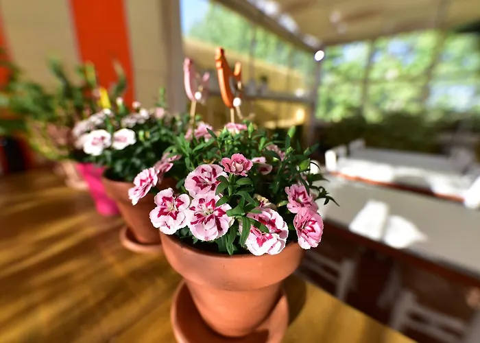 Bed & Breakfast Quodlibet Rome