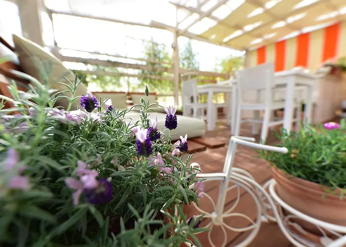 Bed & Breakfast Quodlibet 4*