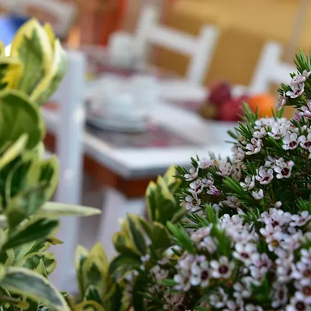 Panzió Quodlibet 4*