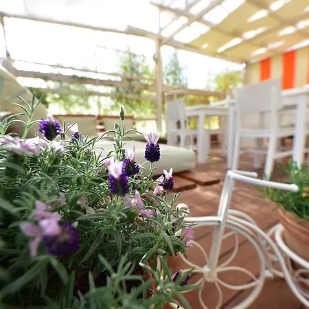 Panzió Quodlibet 4*